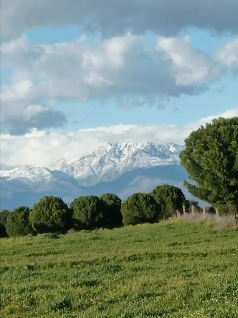 Vista exterior de Terreno en venta en Oropesa