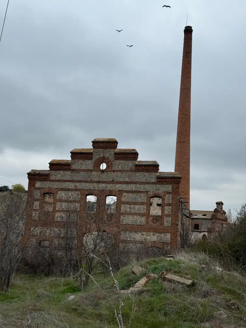 Vista exterior de Terreno industrial en venta en Ávila