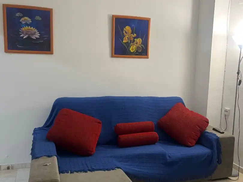 Apartment mit Garten zur Miete in Paseo Blas Infante 28, imagen 5
