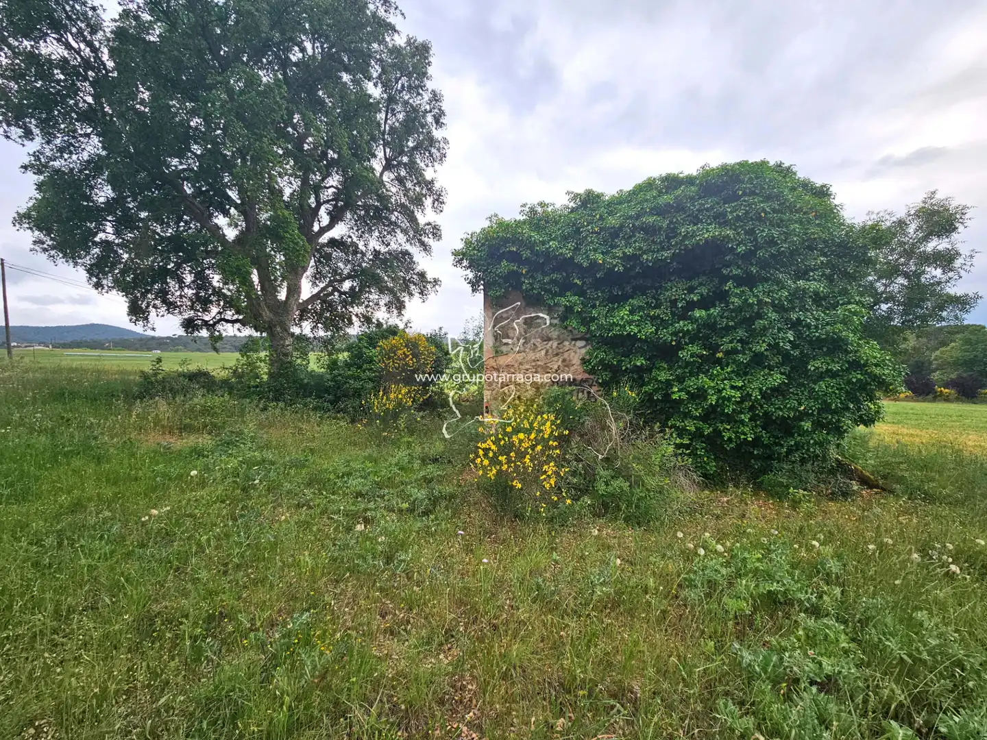 Country house zum Verkauf in Maçanet de la Selva