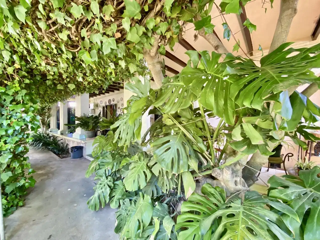 Haus oder Chalet zum Verkauf in  Palma de Mallorca mit Privatgarten, Terrasse und Abstellraum