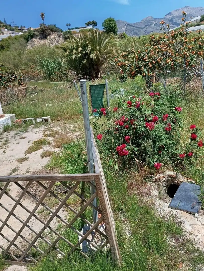 Finca rústica en venda en La Nucia amb Traster