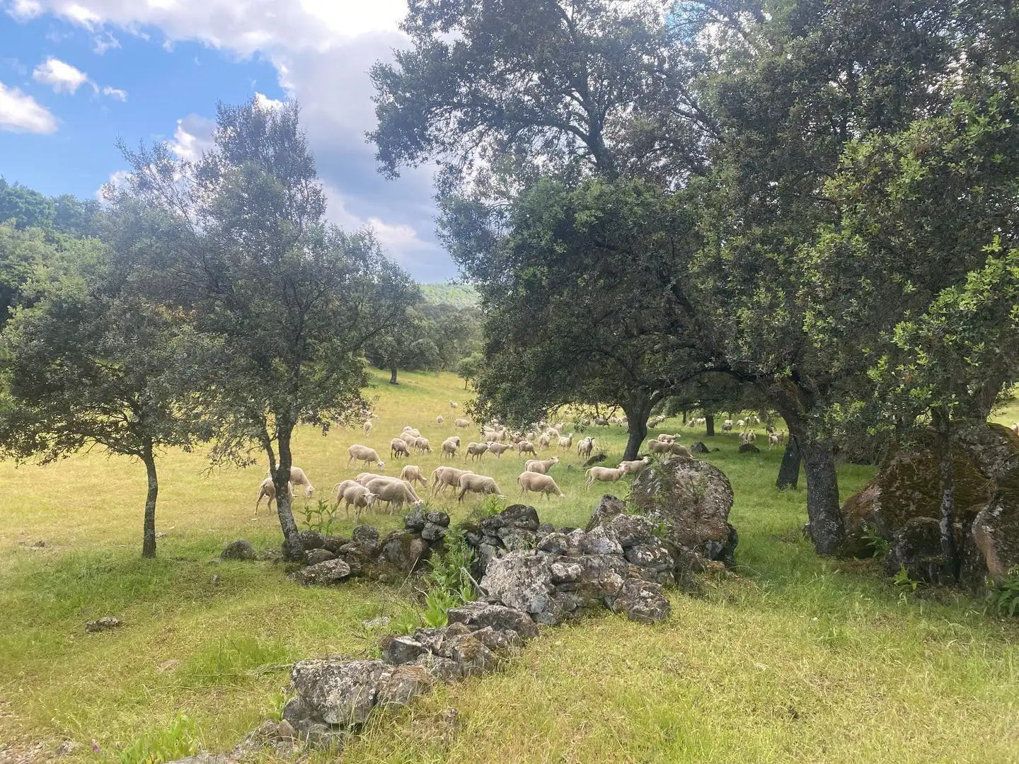 Vista exterior de Finca rústica en venta en El Real de San Vicente con Aire acondicionado, Calefacción y Terraza