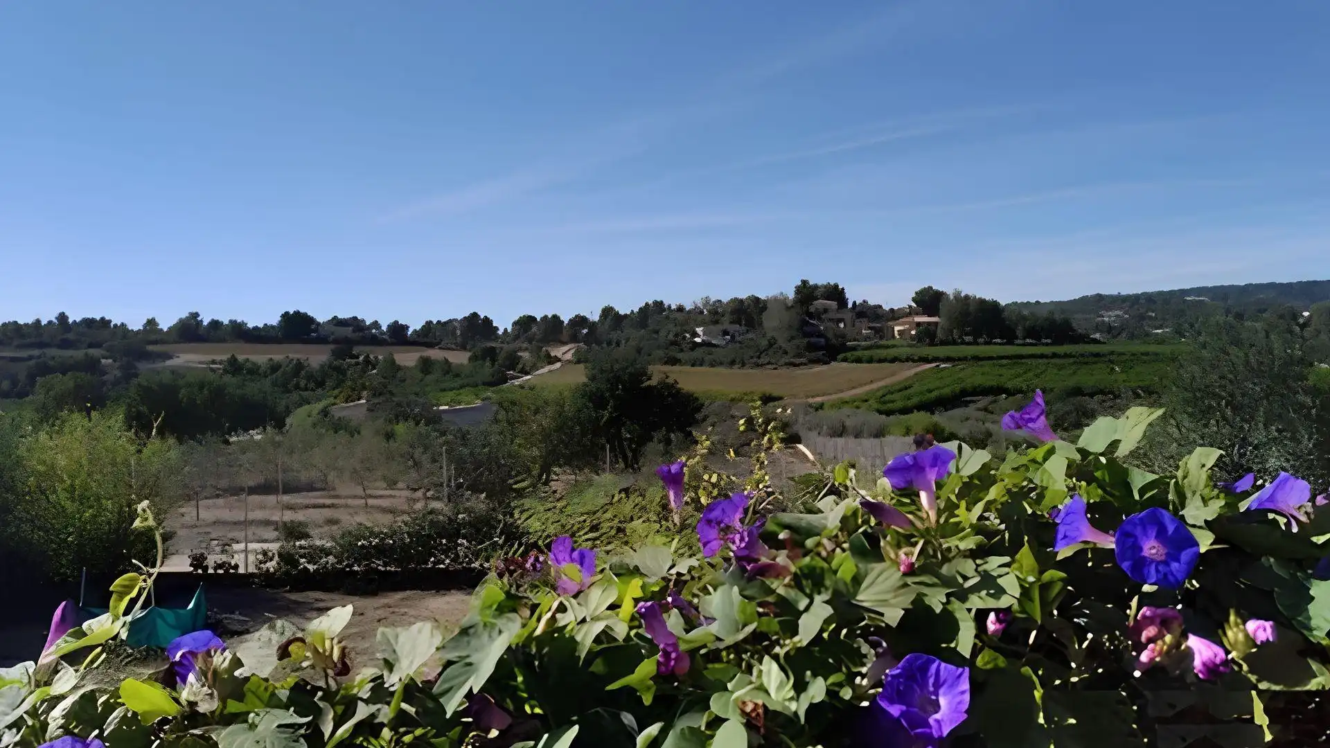 Garden of Houses for sale in Godelleta  with Private garden, Terrace and Furnished