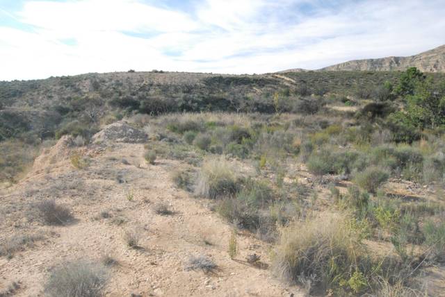 Terreno en Venta en Moralet