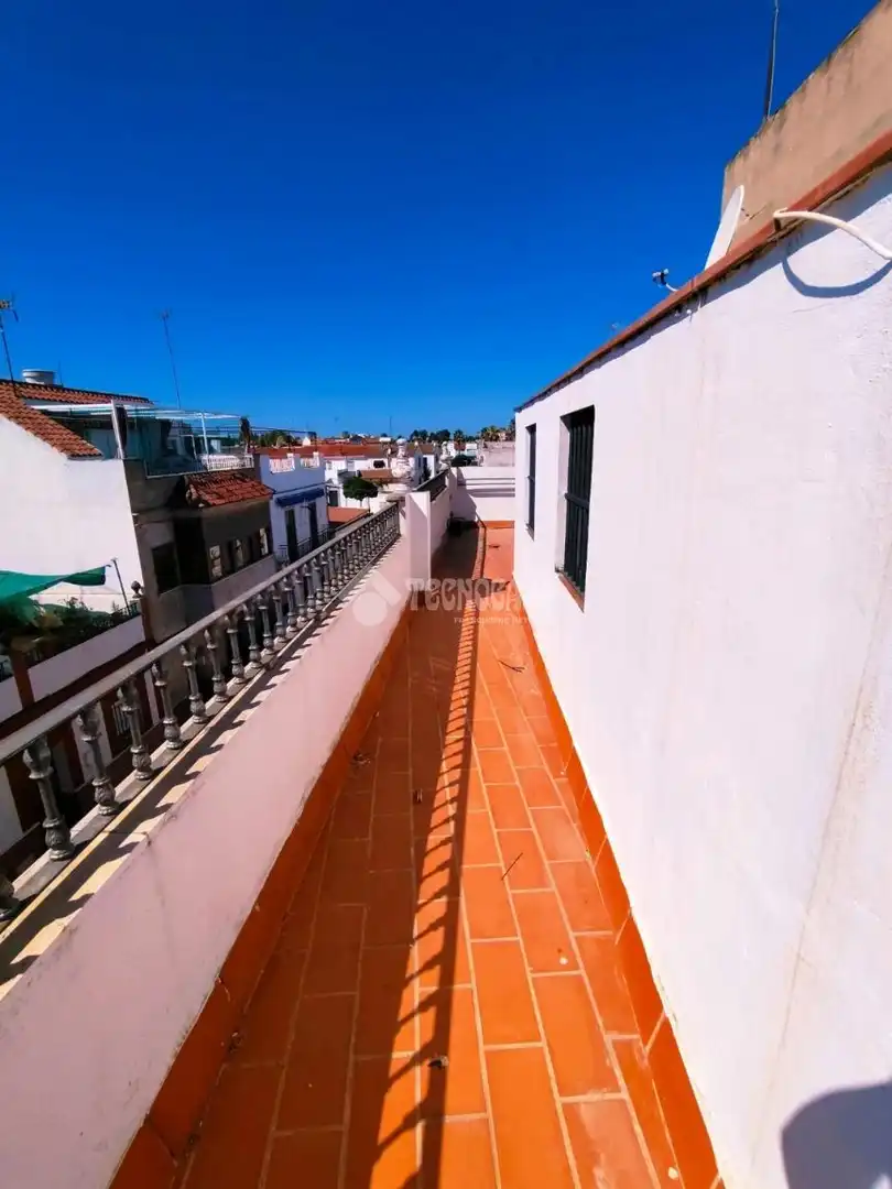 Vista exterior de Piso en venta en Coria del Río