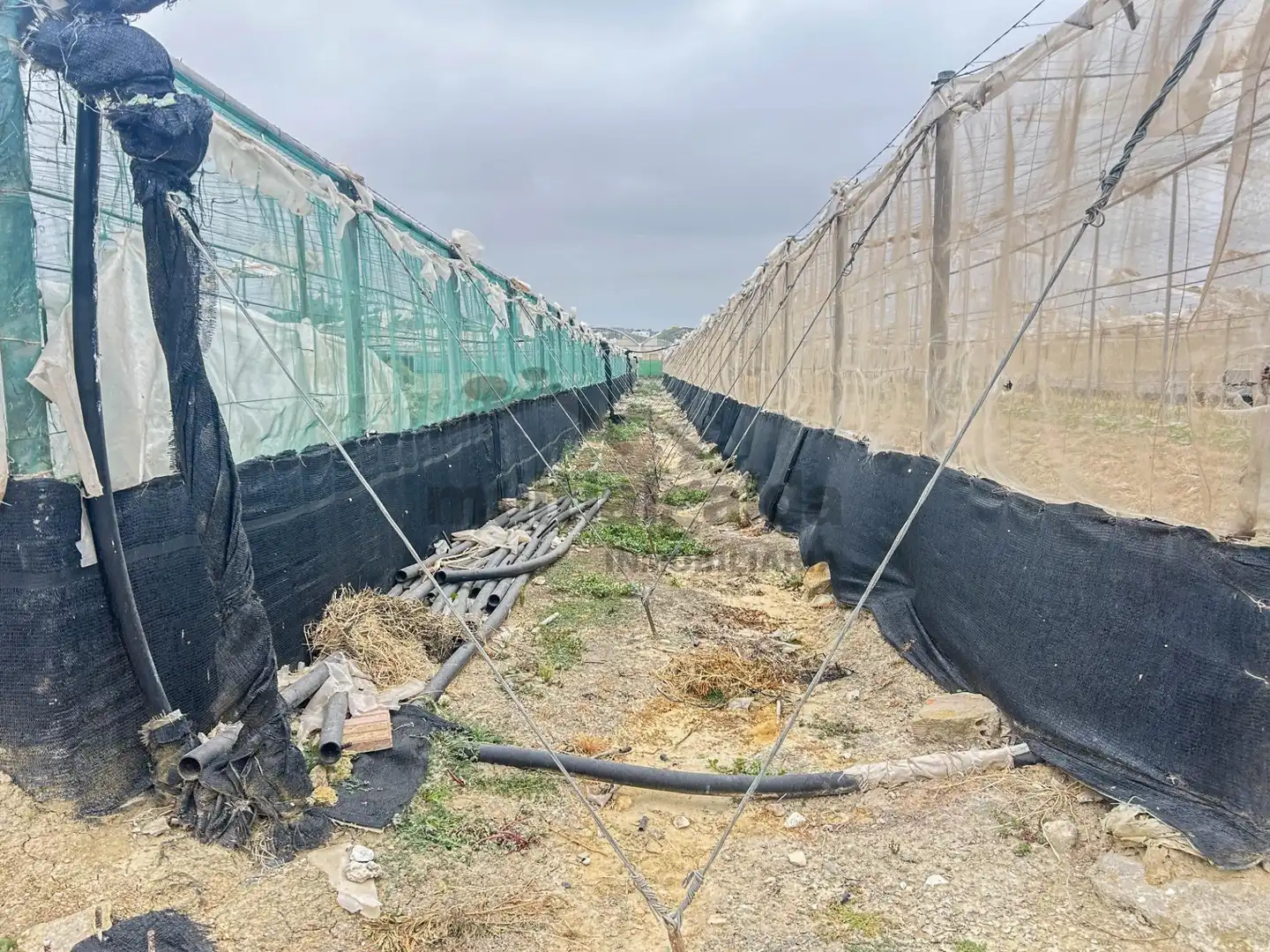 Rustikales Grundstück zum Verkauf in Ayuntamiento - Barrio Alto, imagen 5