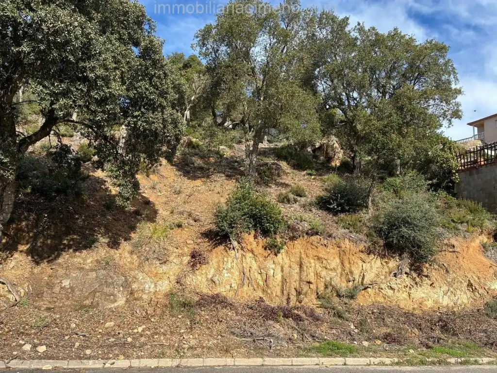 Terreno residencial en venta en Calle Pollancre, imagen 2