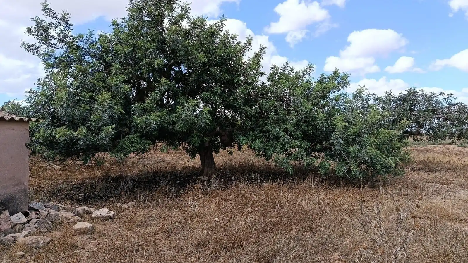 Casa rústica amb jardí en venda a La Pinilla - Las Palas, imagen 15