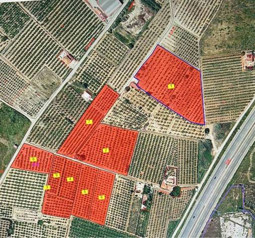 Terreno residencial en Venta en Alberic