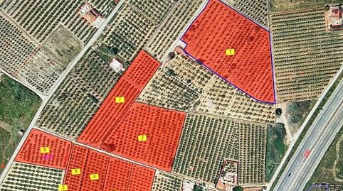 Finca rústica en Massalavés Valencia  Uso agrícola o inversión