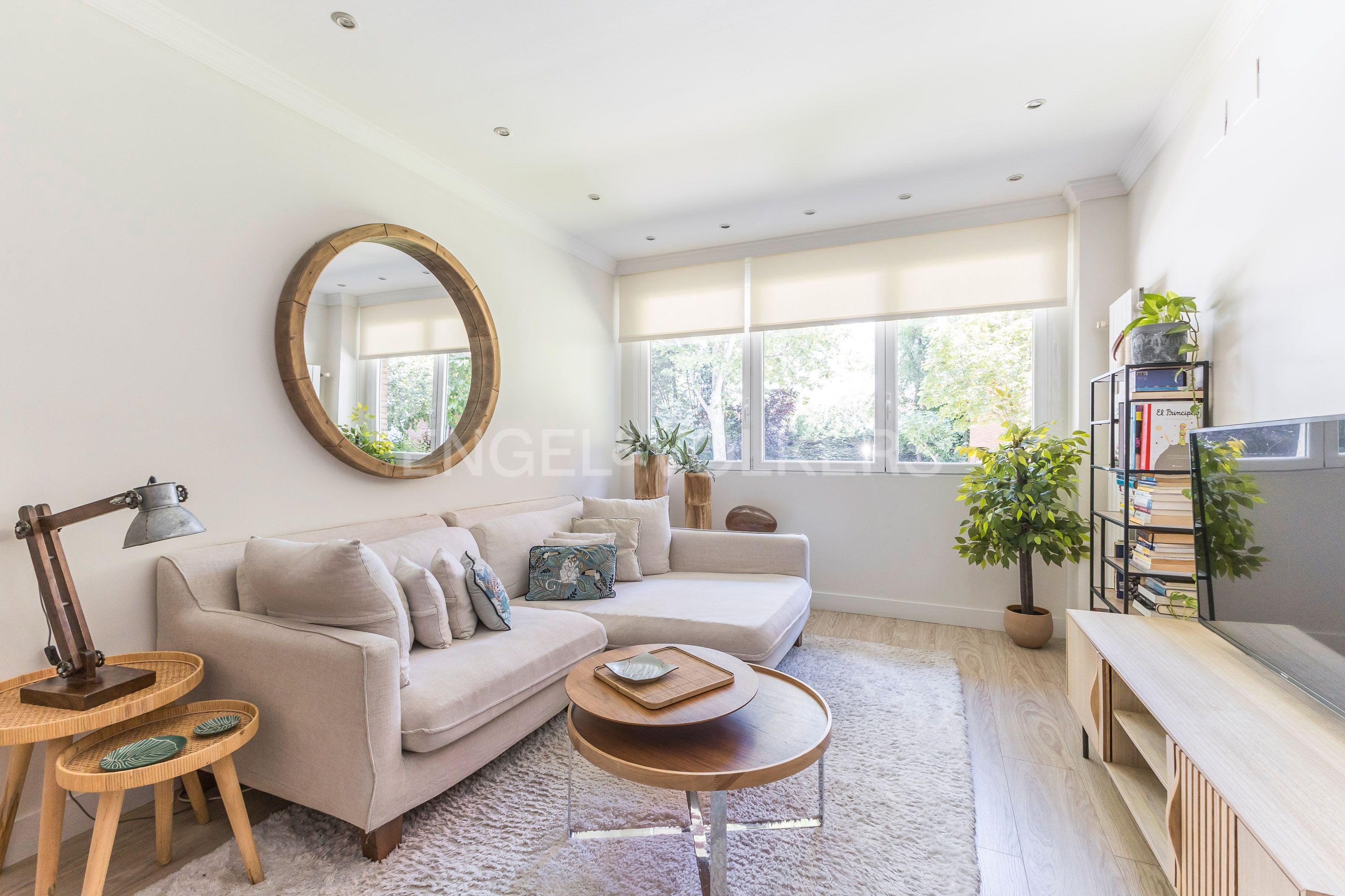 Sala d'estar de Apartament en venda en  Madrid Capital amb Aire condicionat, Calefacció i Jardí privat