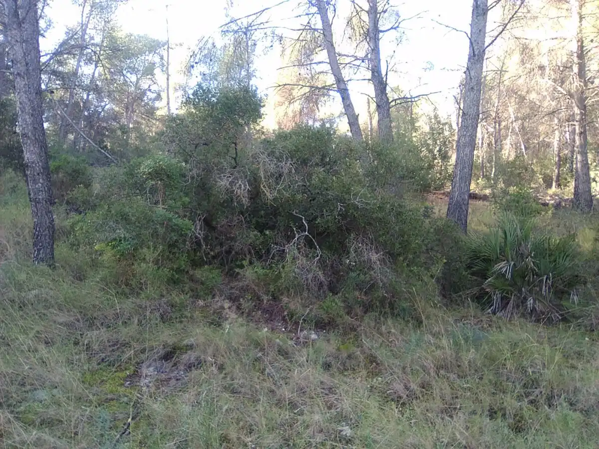Terrenys i solars en venda a Estivella, imagen 4