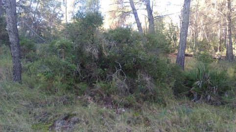 Parc. Rúst. en venta en Montaña., immagine 4