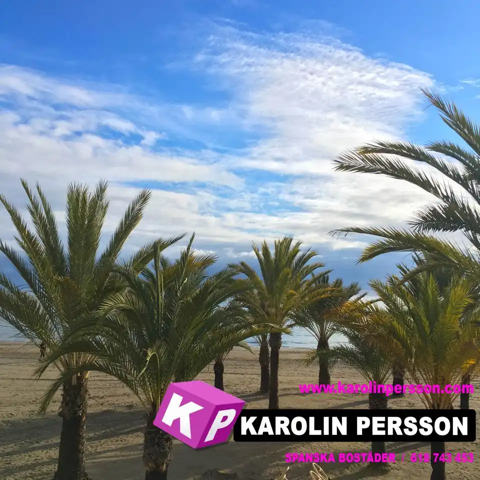 Planta baja en venta en Carrer Almirante Antequera, Playa Levante