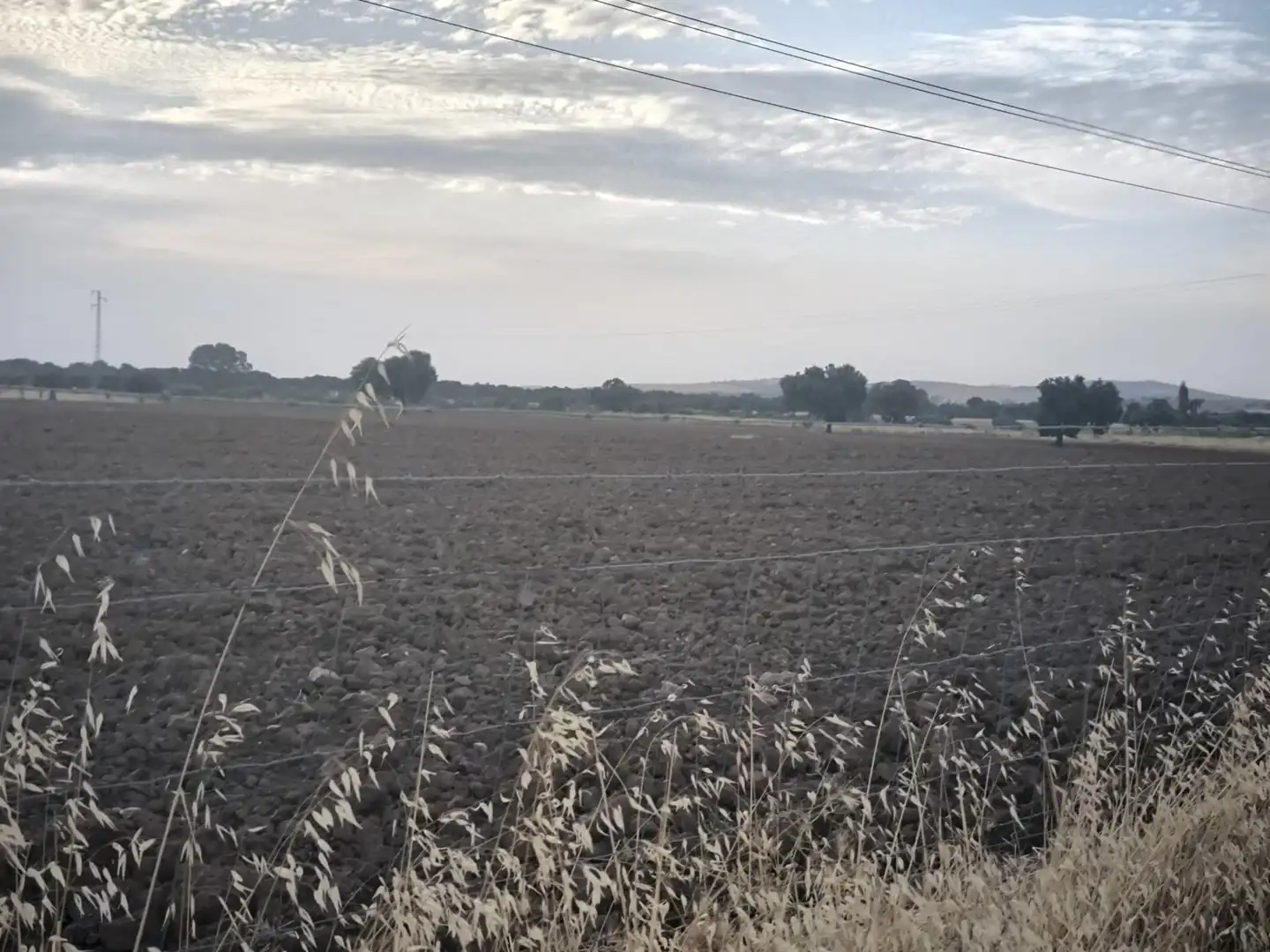 Finca rústica en venda en El Viso de San Juan