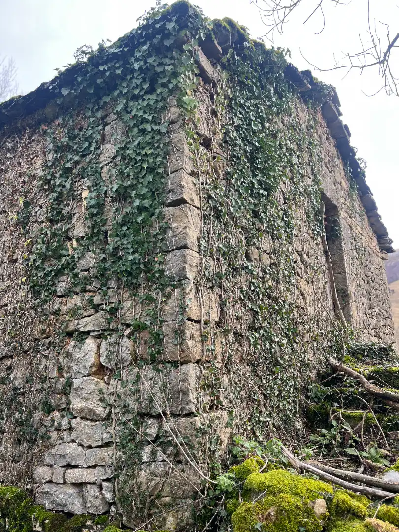 Casa rústica en venda a Barrio Campillo 5, imagen 18