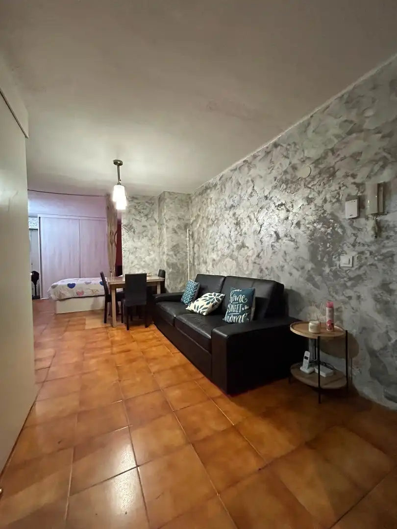 Sala d'estar de Estudi en venda en Santa Coloma de Gramenet amb Alarma