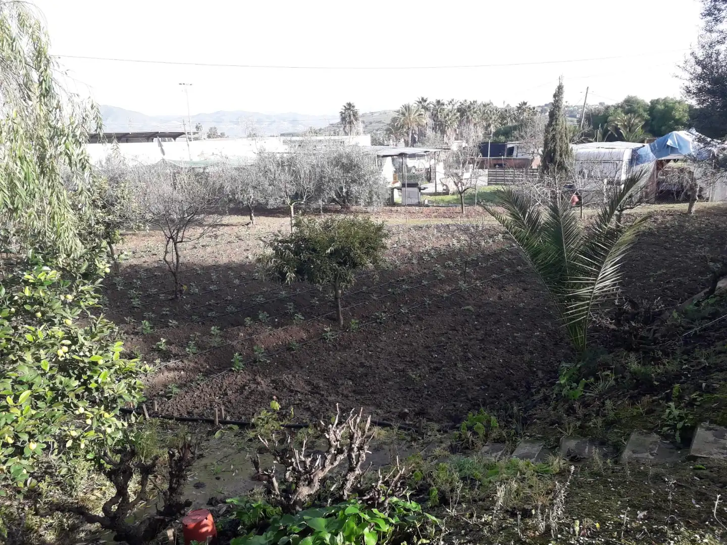 Terreni e lotti in vendita a Villafranco del Guadalhorce, imagen 19