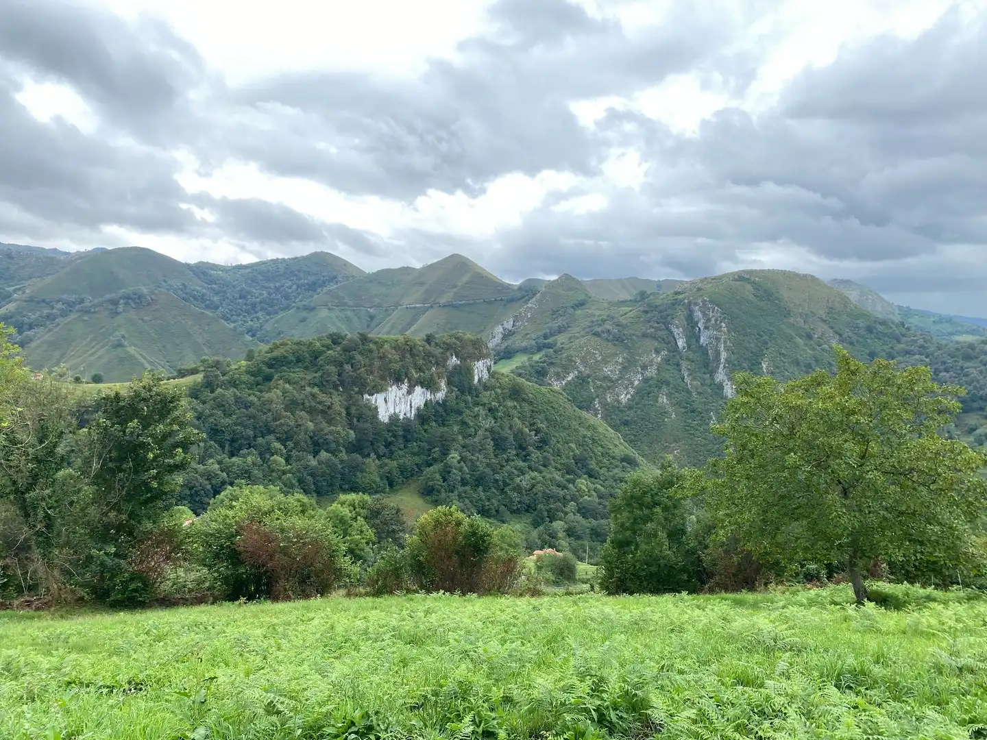 Houses for sale in Gamonedo, Cangas de Onís
