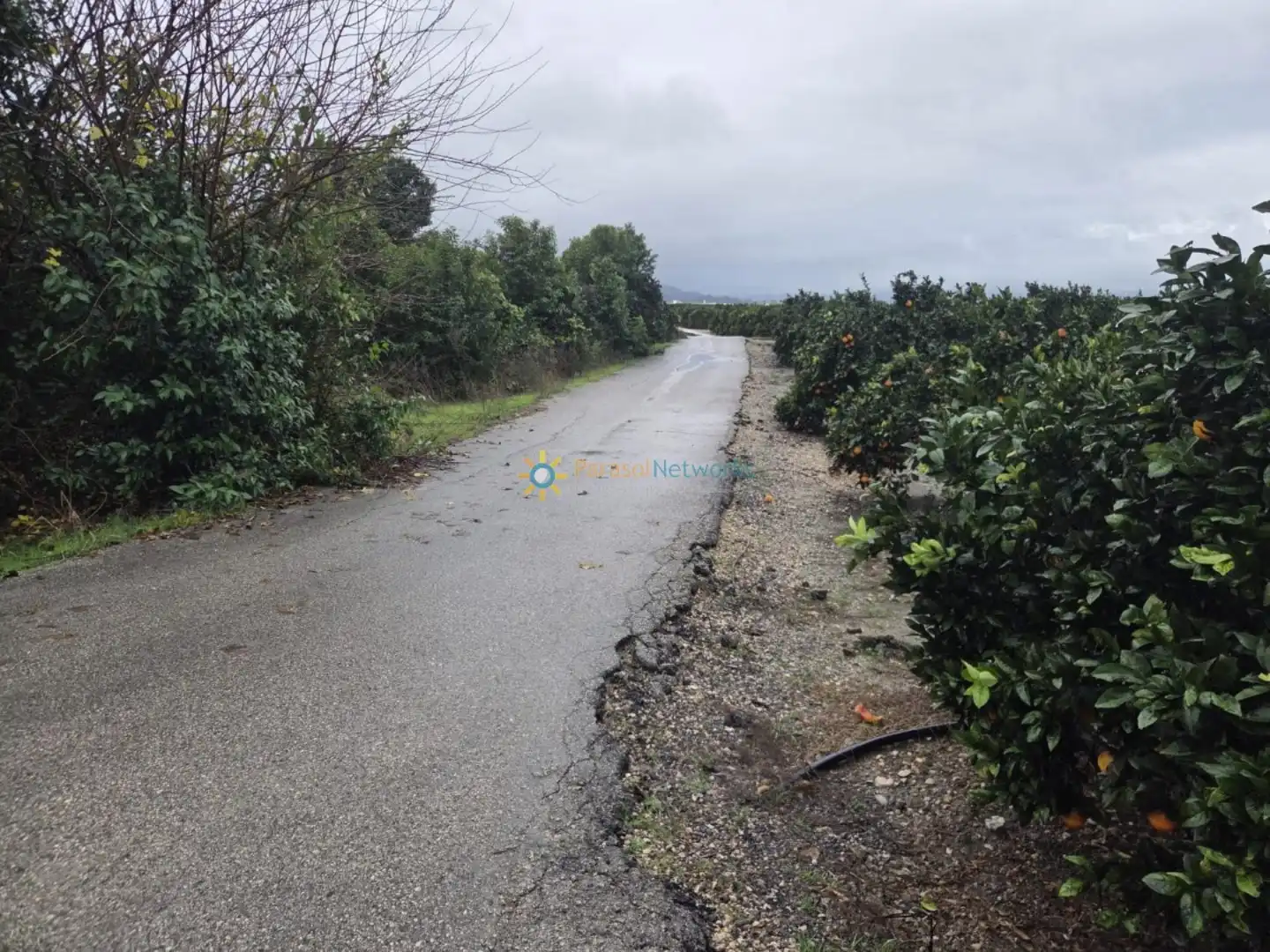 Rural land for sale in Senyera, imagen 4