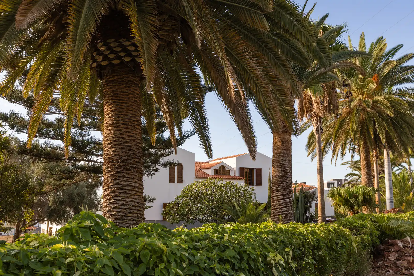 Vista exterior de Casa o xalet en venda en Candelaria amb Aire condicionat, Jardí privat i Terrassa