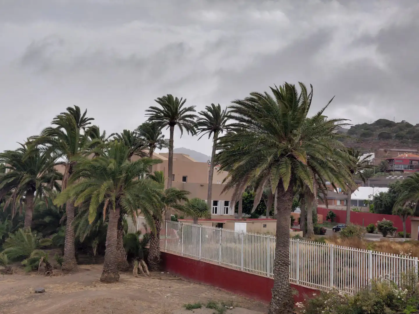 Exterior view of Apartments for rent in Las Palmas de Gran Canaria  with Furnished, Washing machine and Microwave