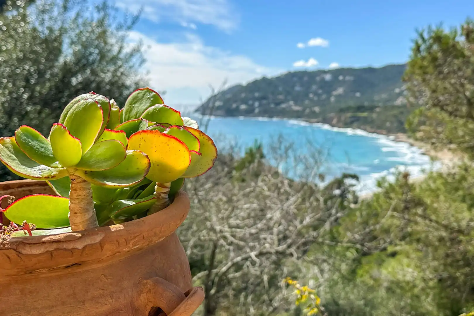 House with terrace for sale in Font de Sa Cala, imagen 6