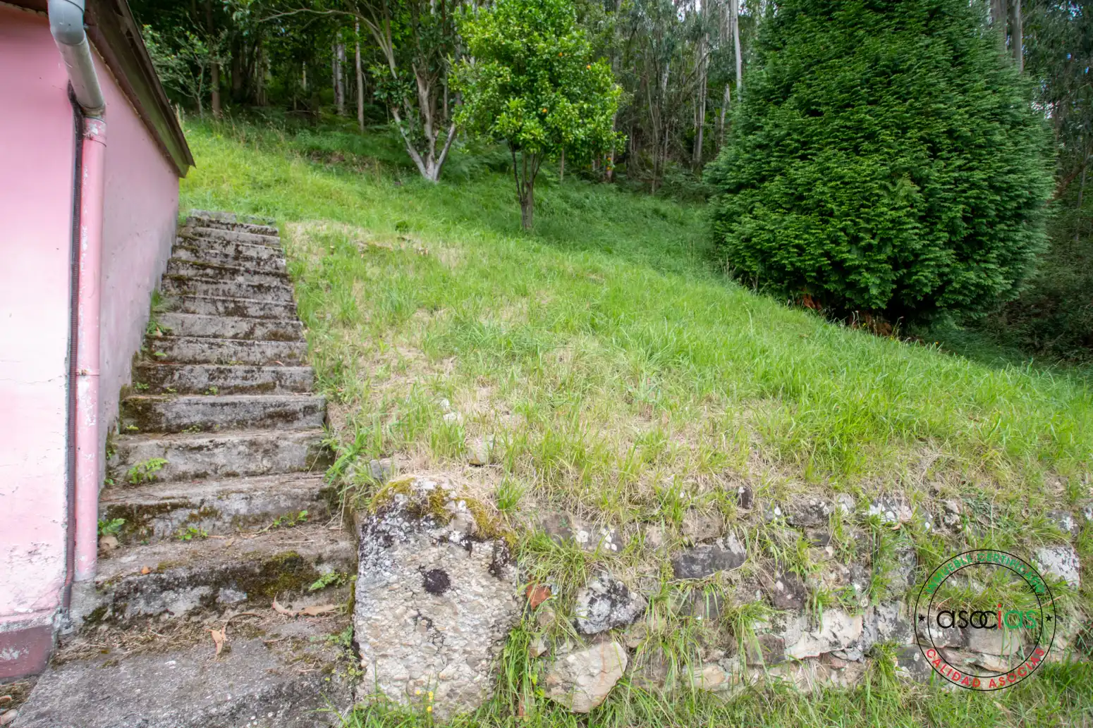 Casa o xalet en venda en Villaviciosa amb Jardí privat i Traster
