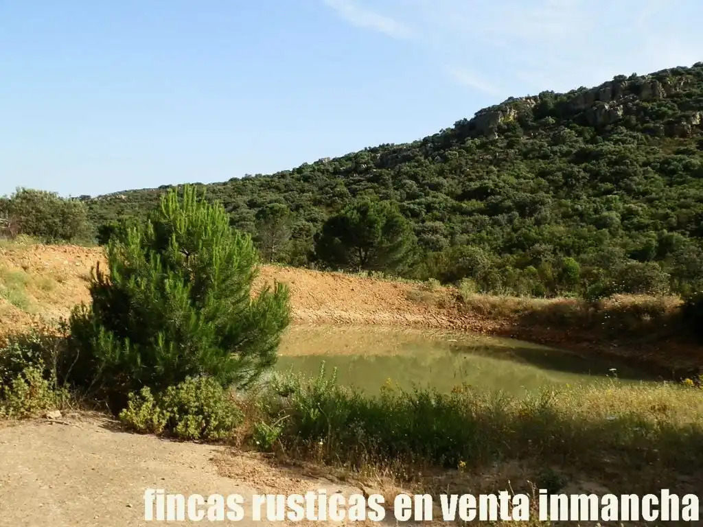 Terreny rústic en venda a Alcolea de Calatrava, imagen 6