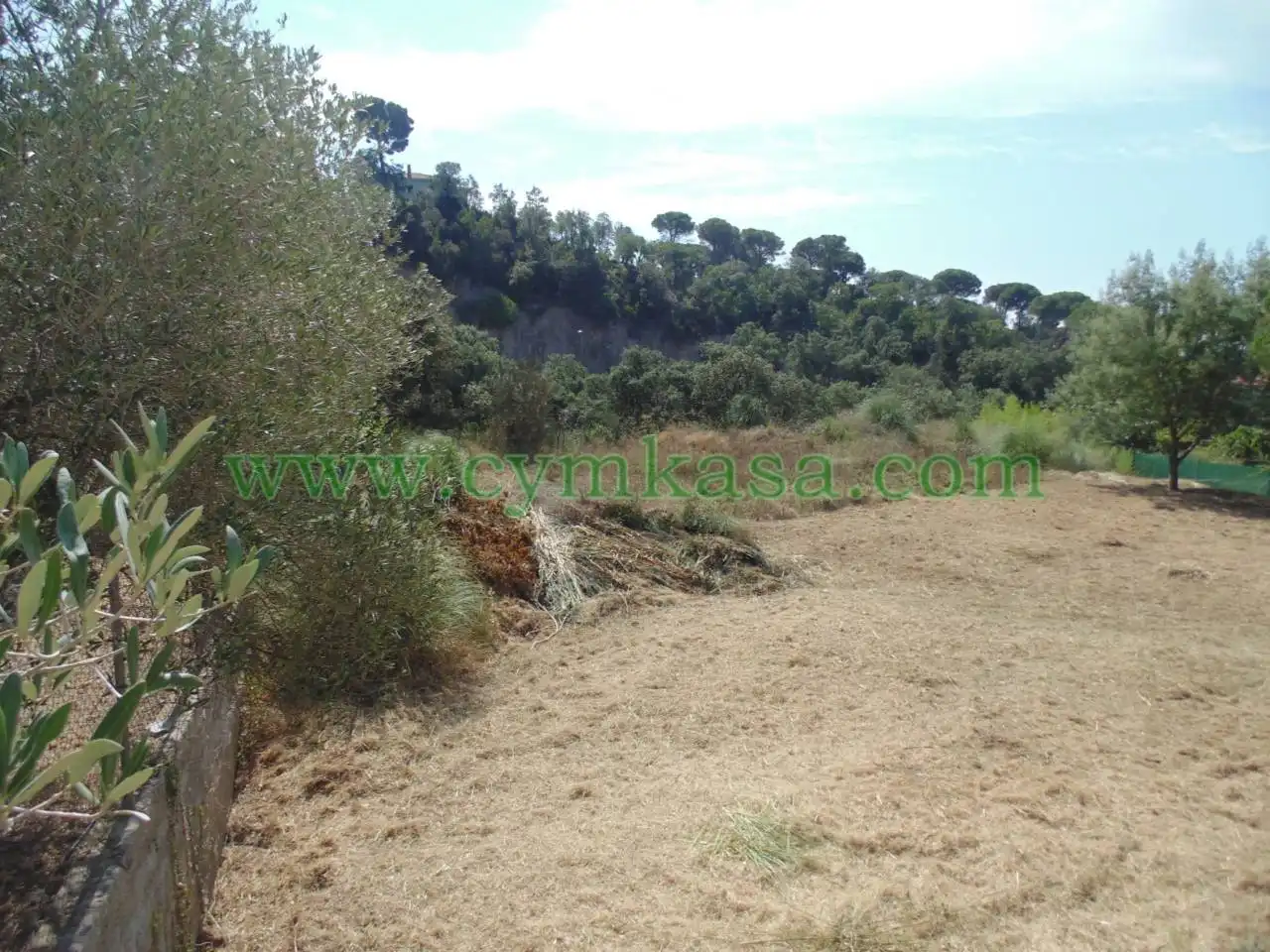 Terreny residencial en venda a Lloret Verd - Els Pinars, imagen 6