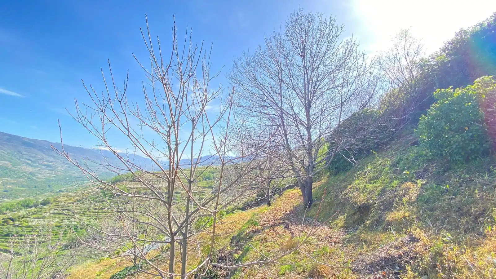 Terreni e lotti in vendita a Casas del Castañar, imagen 13