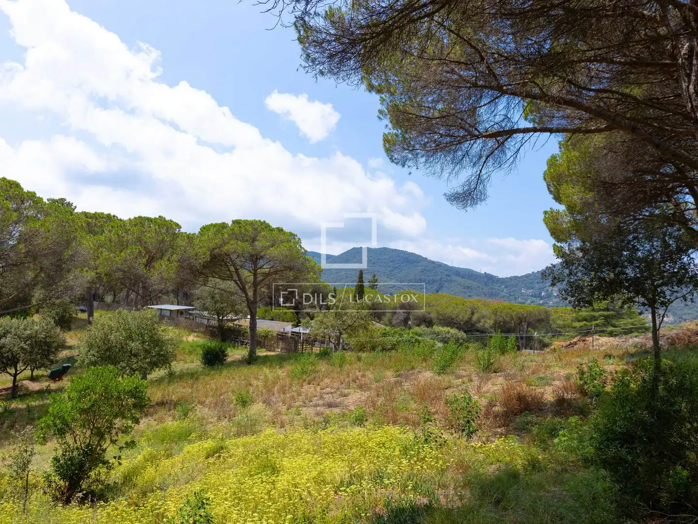 Rural land for sale in Vallromanes, imagen 11