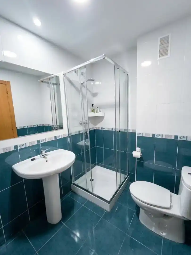 Bathroom of Flat for rent in Almansa  with Furnished, Oven and Washing machine