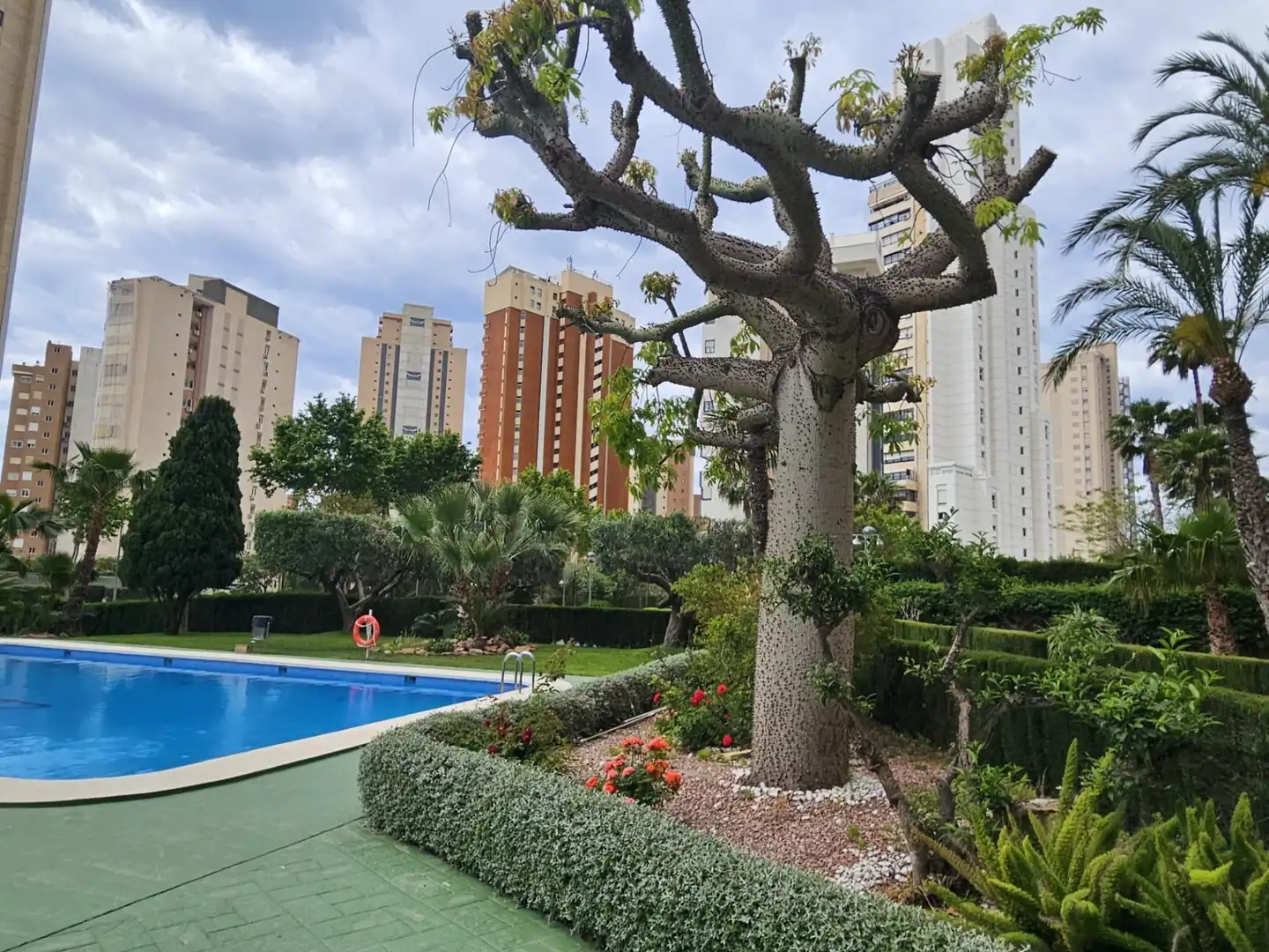 Piso con piscina en venta en Levante Alto, imagen 26