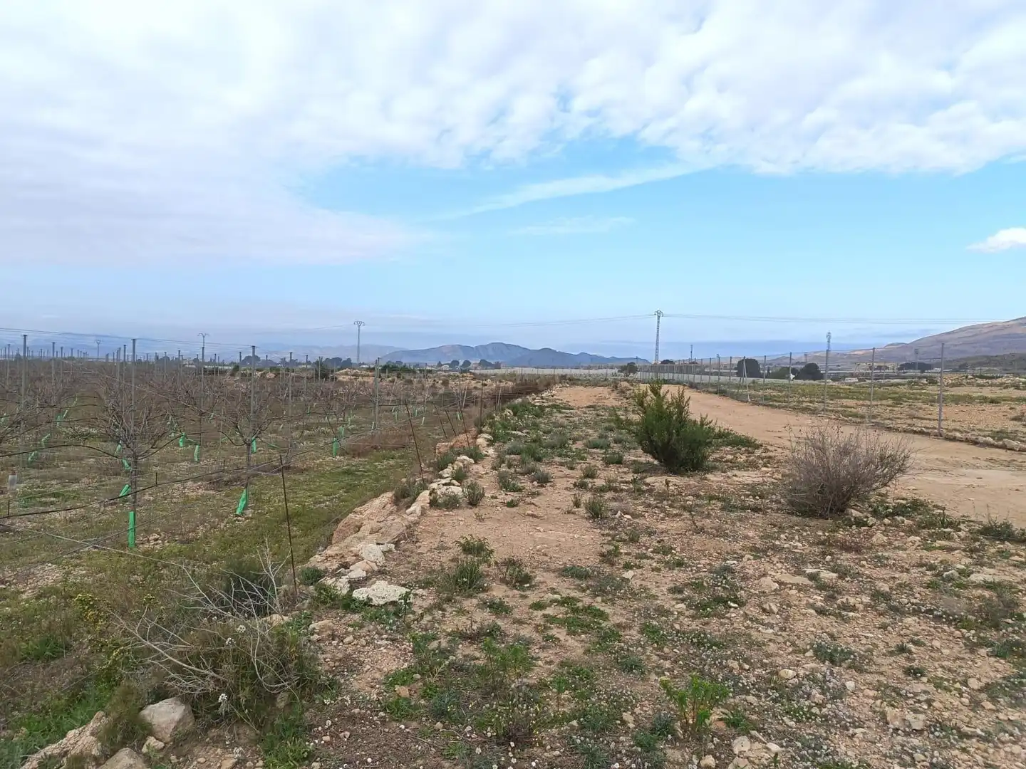 Terreno residencial en venta en Monforte del Cid, imagen 14