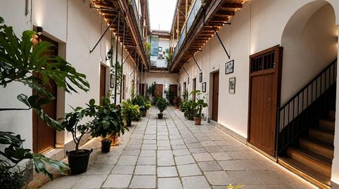 Foto 2 de Casa adosada en venta en El Pino - Bajo de Guía, Sanlúcar de Barrameda
