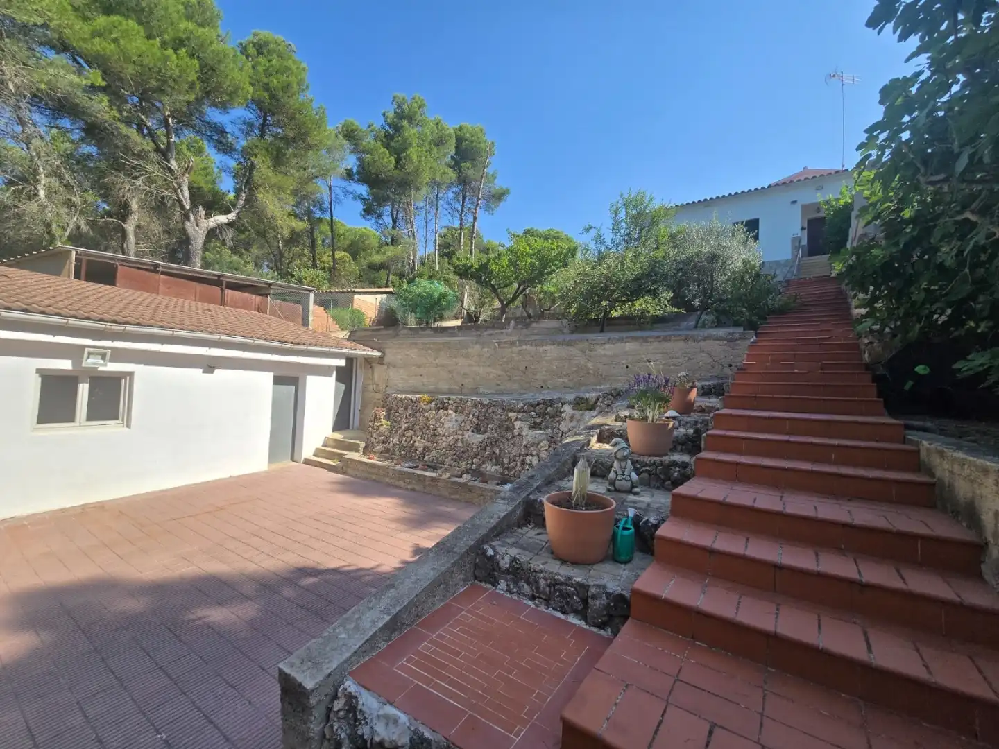 Country house with pool for sale in Camí de Pinedes Altes 13, imagen 3