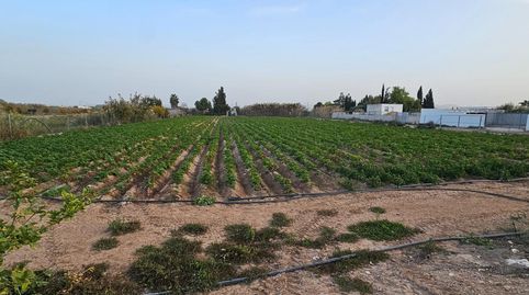 Photo 3 of Residential for sale in Cobatillas, Murcia Capital