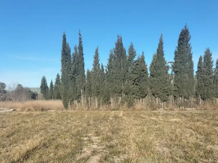 Residential land for sale in Polígono 162 Parcela 131 TURBAÑEZ. LLIRIA (VALENCIA), imagen 4