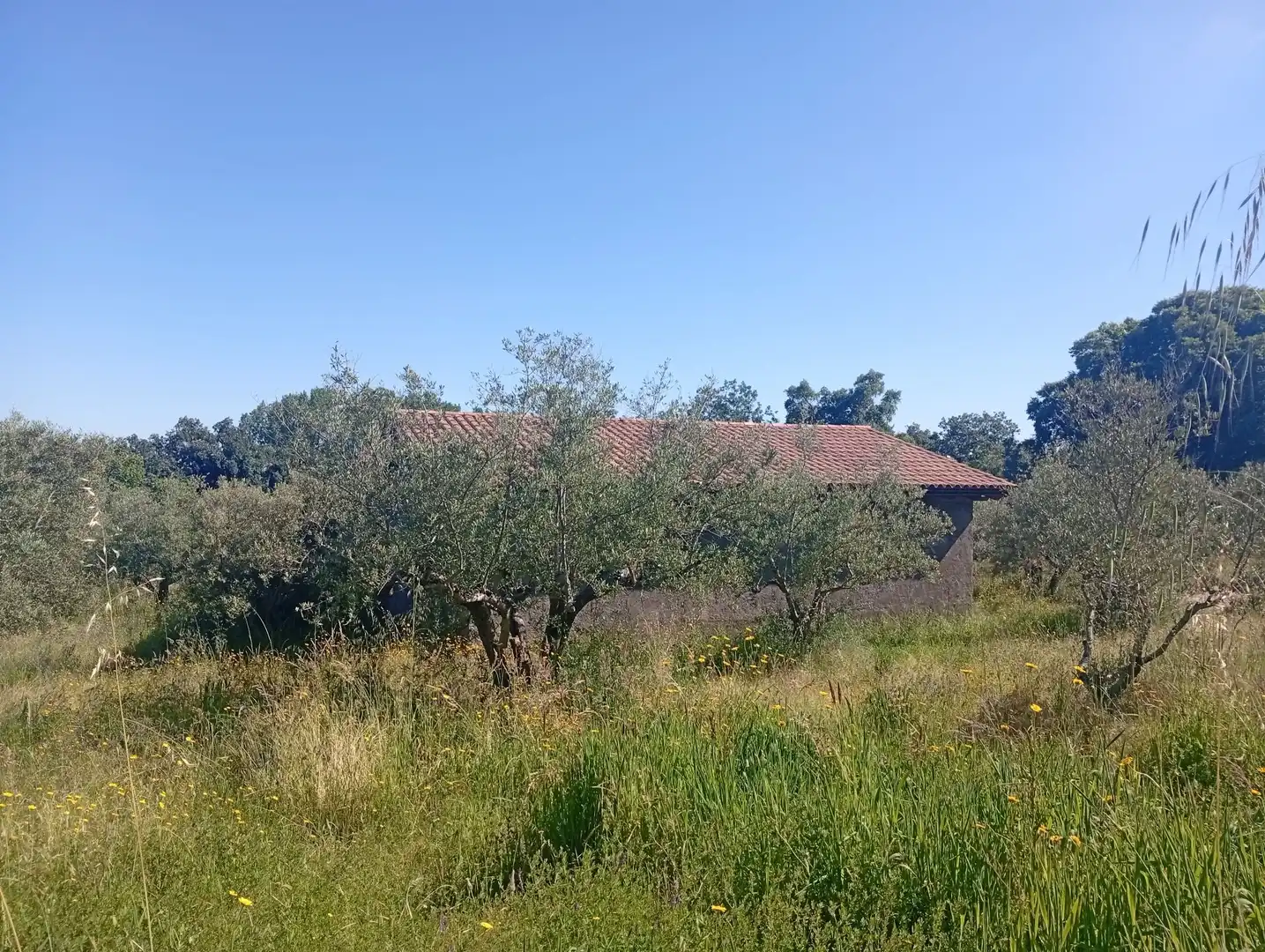 Maison à vendre à Villanueva de la Vera, imagen 80