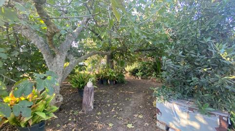 Foto 5 de Casa o xalet en venda a Pelagatos - Pago del Humo, Cádiz