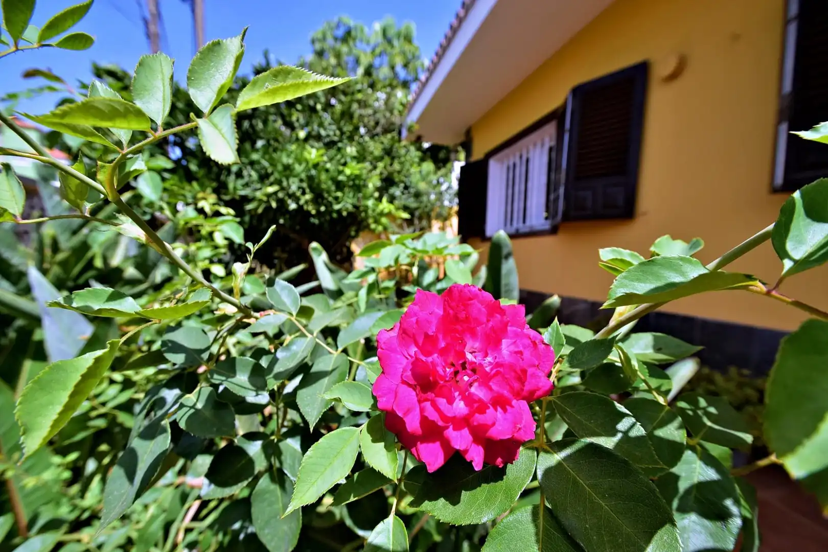 Vista exterior de Casa o chalet en venta en San Cristóbal de la Laguna con Jardín privado, Terraza y Trastero