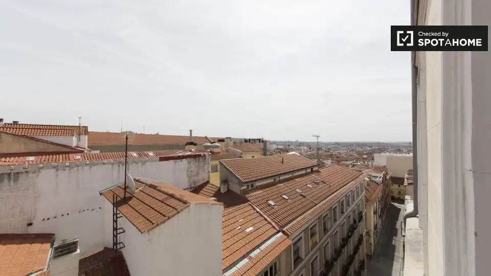 Piso con terraza en alquiler en Centro, imagen 12