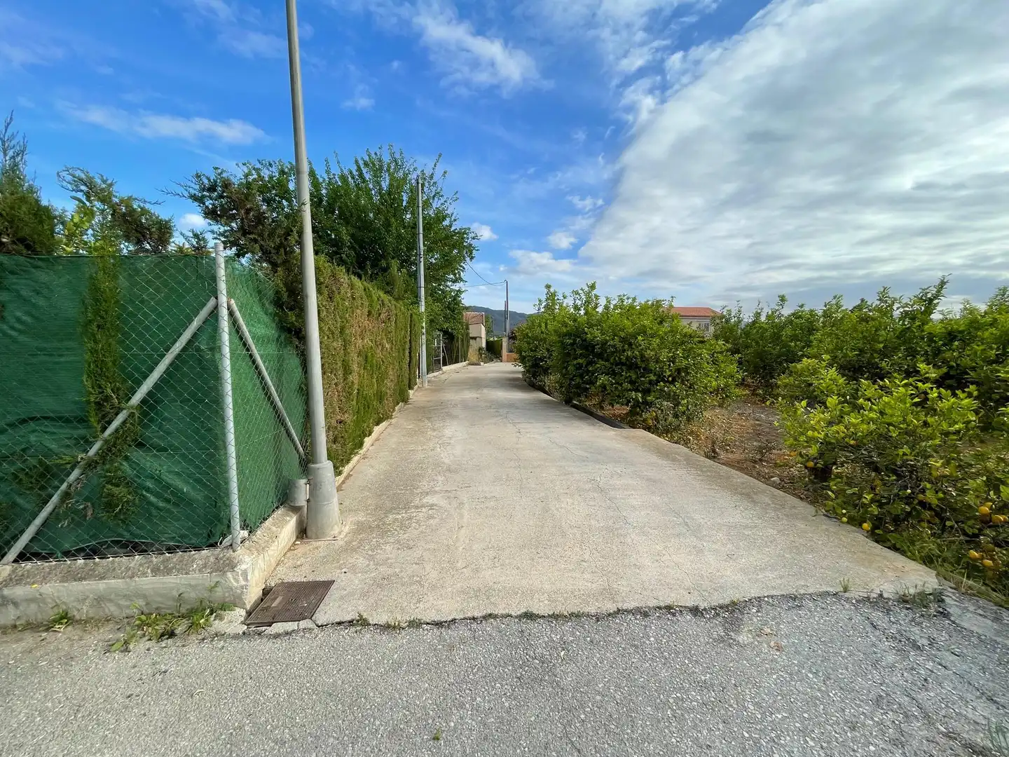 Terreni e lotti in vendita a Pedanías Oeste, imagen 6