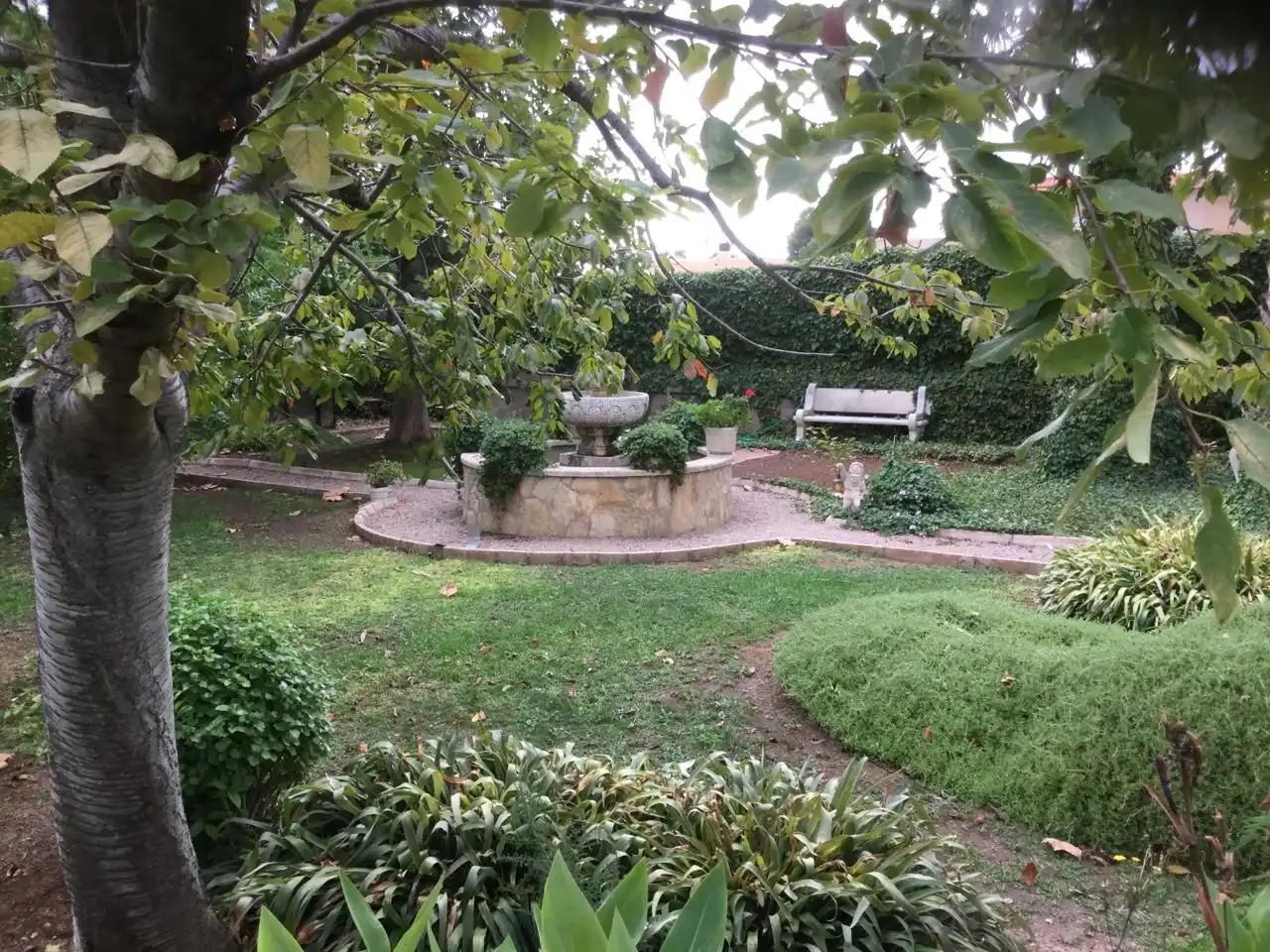 Jardí de Casa o xalet en venda en Vila-real amb Aire condicionat, Jardí privat i Piscina