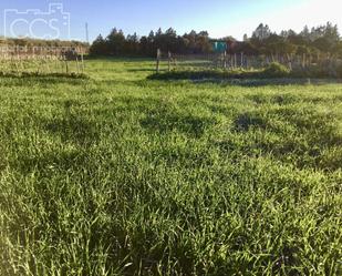 Finca rústica en venda en Pilas amb Aire condicionat i Traster