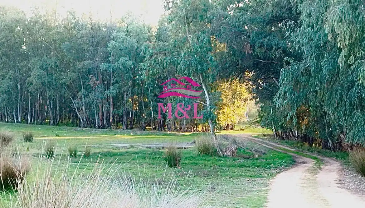 Terreni e lotti in vendita a Oeste, imagen 10