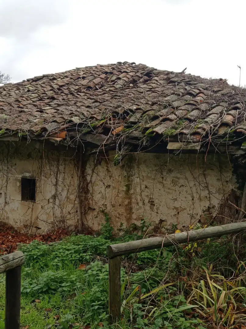 Vista exterior de Finca rústica en venta en Merindad de Valdivielso con Jardín privado