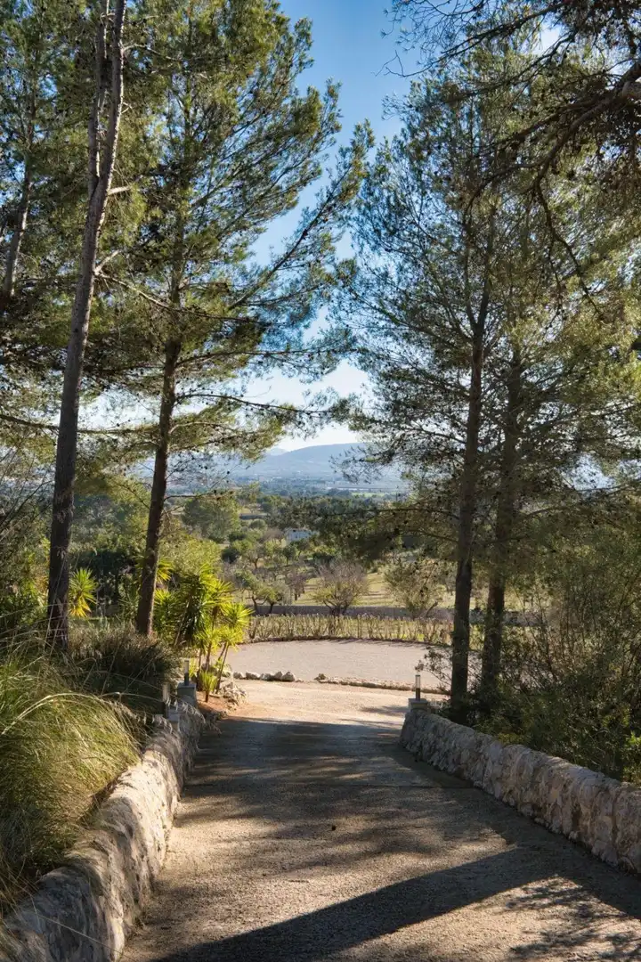 Maison avec terrasse à vendre à Santa María del Camí - Camino Camí des Raiguer, imagen 44